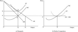 Competitive and Monopoly Firms